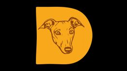 Buchstabe D in Gelb mit Hundekopf-Skizze auf schwarzem Hintergrund.