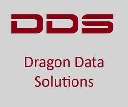 Dragon Data Solutions GmbH Logo