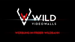 Logo mit stilisiertem Hirschkopf, Text: "WILD Videowalls. Werbung in freier Wildbahn".