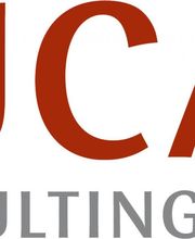 LUCAS CONSULTING TEAM Logo