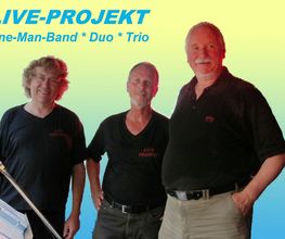 3 professionelle Musiker