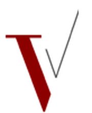 VECTIS Consulting Logo