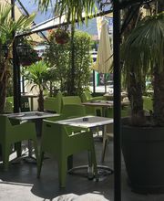 Grüne Stühle und Tische unter Sonnenschirmen in einem von Palmen umgebenen Café im Freien.