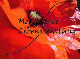 Roter Blütenhintergrund mit dem Text "Meditative Lebensberatung" in geschwungener Schrift.