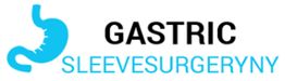 Logo with a blue stomach icon and text: "Gastric Sleeve Surgery NY" in black and blue.