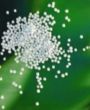 Praxis Petra Sauer Logo