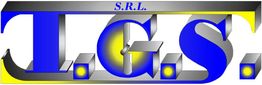 Logo con scritta "S.R.L. T.G.S." in blu, grigio e giallo su sfondo bianco.