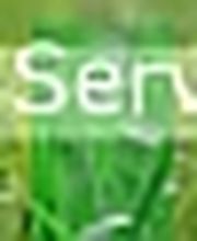 Business Dialog
Training & Services Logo