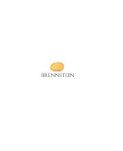 Brennstein GbR - Goldankauf Logo