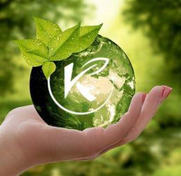 Hand hält grüne Erde mit Blatt und Logo, Naturhintergrund.