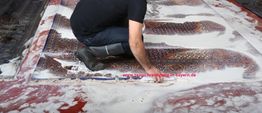 Person reinigt Teppich mit Seife und Wasser auf rotem Boden.