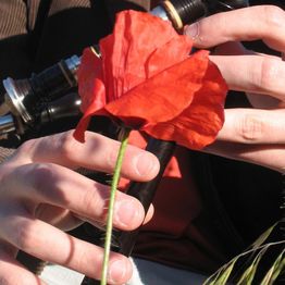Manos sosteniendo una gaita y una amapola roja brillante.