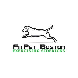 Dog silhouette leaping with "FitPet Boston: Exercising Sidekicks" text below.