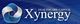 Blue logo with a ribbon design and "Healthcare Capital Xynergy" text.