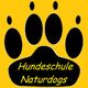 Gelber Hintergrund, schwarze Pfote, Text: Hundeschule Naturdogs.