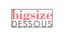 "Logo mit Schriftzug 'bigsize DESSOUS' in rosa und grau."