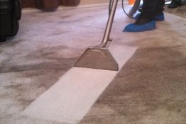 Cleaning a dirty carpet with a vacuum, showing a clear difference between cleaned and dirty areas.