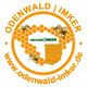 Logo mit Bienen, Waben und Bienenstock, Text: Odenwald Imker, www.odenwald-imker.de.