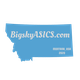 Blue silhouette of Montana with "BigskyASICs.com" and "MONTANA, USA 2020" text.