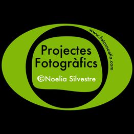 Logotipo verde y negro con texto: "Projectes Fotogràfics - Noelia Silvestre". Dirección web incluida.
