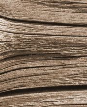 Wir lieben tischlern!