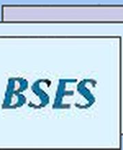 BS Elektronik Service GmbH Logo