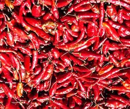 Chili