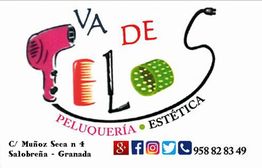Logo de peluquería y estética con secador, peine y rulo. Contacto de Salobreña, Granada.