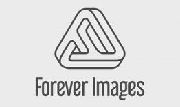 Logo met abstracte driehoek en tekst "Forever Images" op een lichte achtergrond.