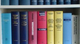 Regal mit bunten Fachbüchern und Gesetzestexten, ordentlich nebeneinander aufgereiht.