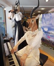 Tierköpfige Schaufensterpuppen in Abendkleidern spielen Klavier und Geige in einem Schaufenster.