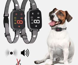 Elektronische Halsbänder und ein Hund mit einem solchen Halsband, Symbol für Schalldämpfung.
