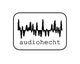 Logo mit schwarzer Tonwelle und dem Text "audiohecht" darunter.