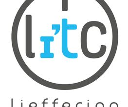 LITC - Lieffering IT Consulting Logo