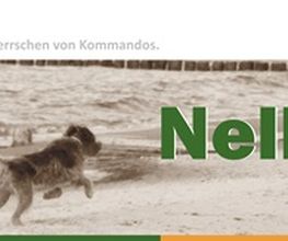 Hundeschule NelloBello Logo