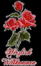 Drei rote Rosen mit Schriftzug "Herzlich Willkommen" in geschwungener roter Schrift.