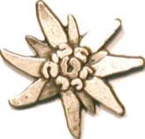 Metallabzeichen in Form eines Edelweißes mit stilisierten Blütenblättern und kerniger Mitte.
