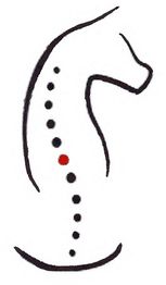 Silhouette eines Pferdes mit schwarzen Punkten und einem roten Punkt in der Mitte.