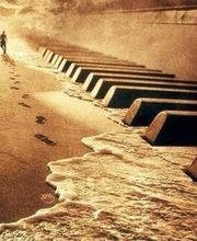 Classical Jazz Entertainment  Logo