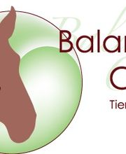 Balance Cure Tierheilpraxis Logo