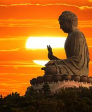 Michaela Reinert Logo