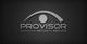 Logo von Provisor Security Service, grauer Schriftzug auf dunklem Hintergrund.