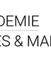 Professionals Online Akademie für Sales und Marketing Logo