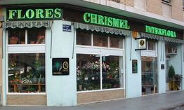Fachada de una floristería con letrero verde, exhibiendo flores y plantas en las ventanas.