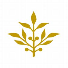 Golden branch with leaves and berries on a white background.