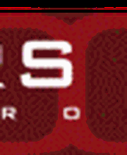 DOORS International Logo