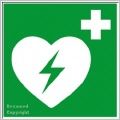 Herzsymbol mit Blitz und einem Kreuz auf grünem Hintergrund, symbolisiert einen Defibrillator.