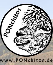 PONchitos Logo