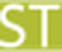 Deste Solutions Logo