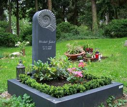 Stele mit Ammonite